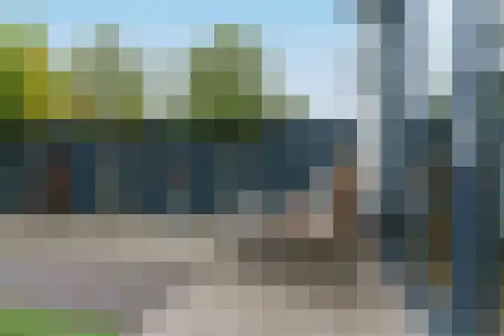Tulpstraat 23 Eindhoven thumbnail 44
