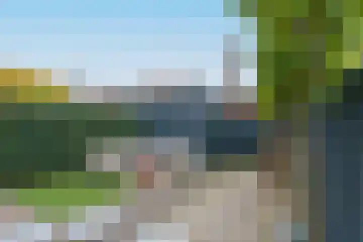 Tulpstraat 23 Eindhoven thumbnail 46