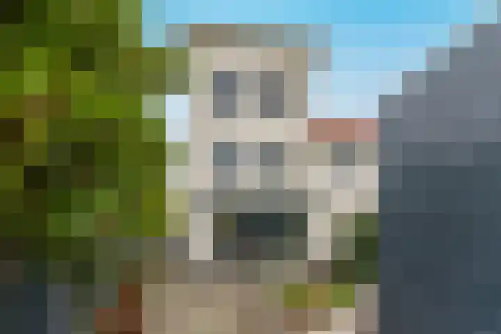 Tulpstraat 23 Eindhoven thumbnail 49