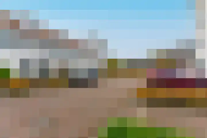 Tulpstraat 23 Eindhoven thumbnail 9