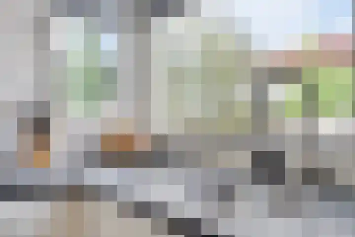 Tulpstraat 23 's-Gravendeel thumbnail 13