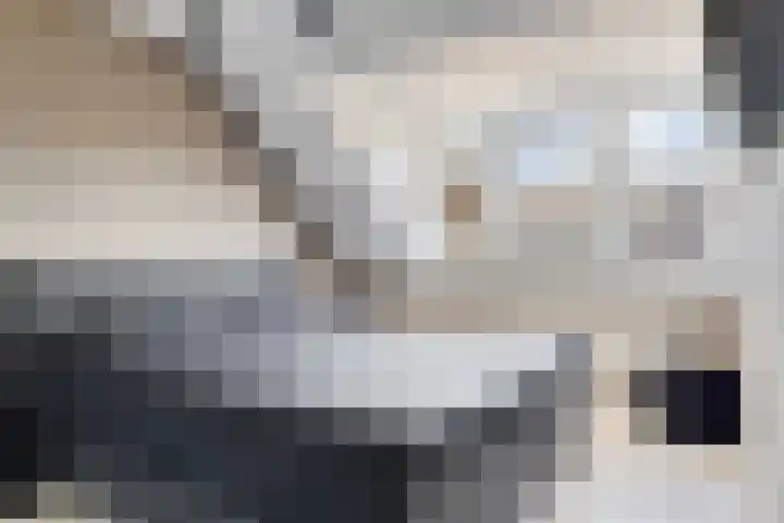Tulpstraat 23 's-Gravendeel thumbnail 20