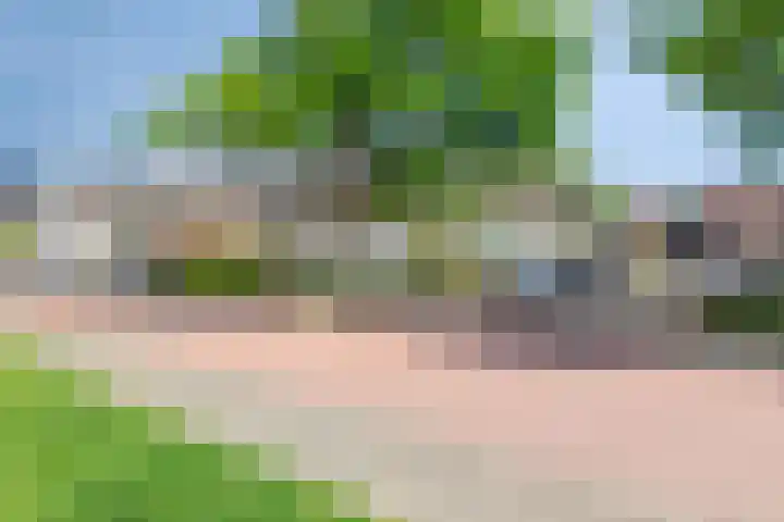 Tulpstraat 23 's-Gravendeel thumbnail 31