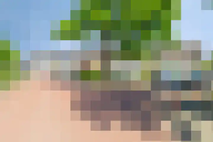 Tulpstraat 23 's-Gravendeel thumbnail 32