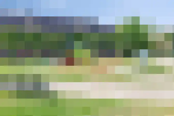 Tulpstraat 23 's-Gravendeel thumbnail 33