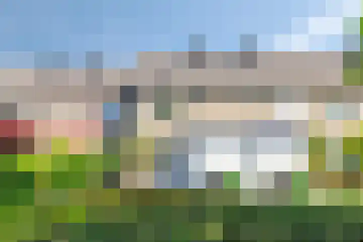 Tulpstraat 23 's-Gravendeel thumbnail 4