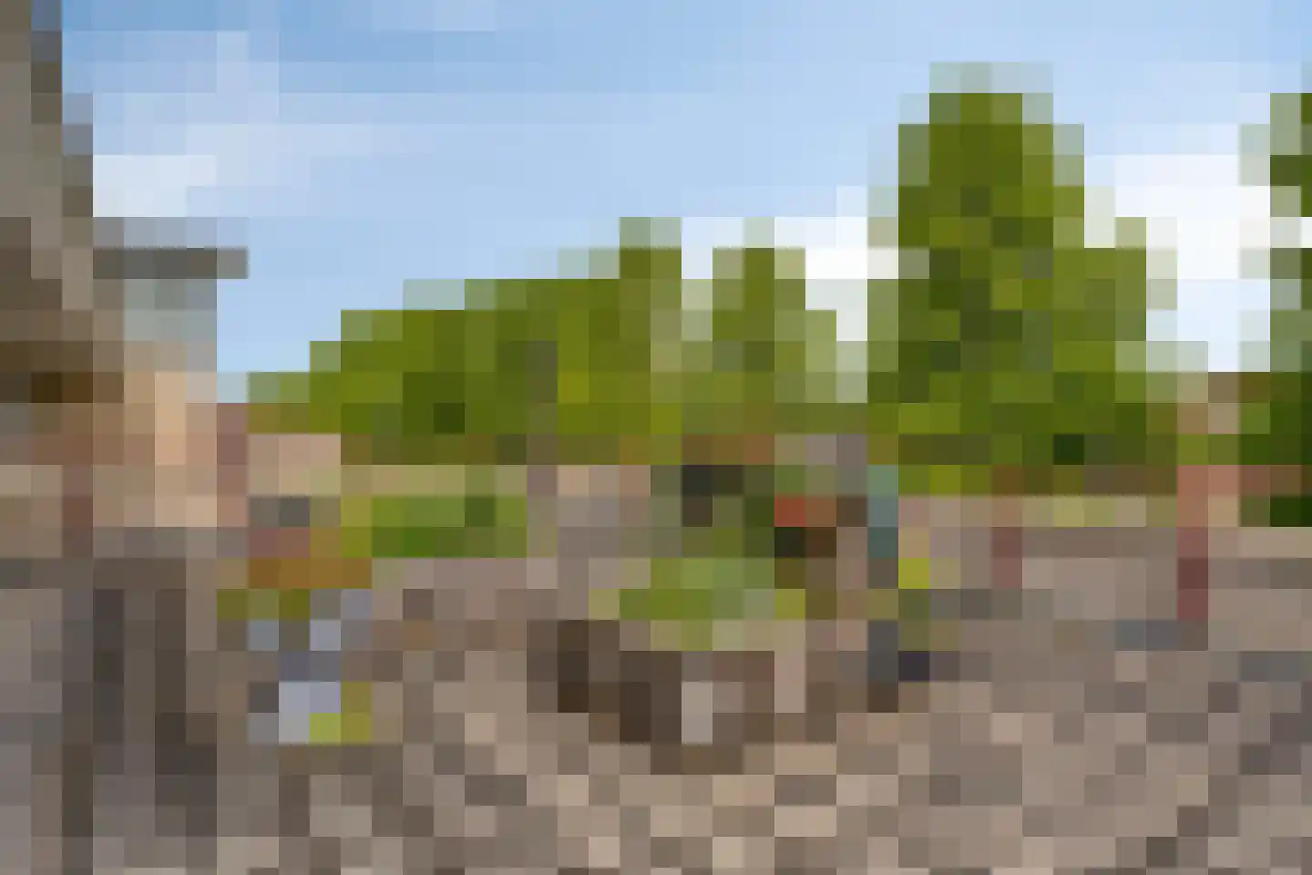 Tulpstraat 23 Wolvega thumbnail 20