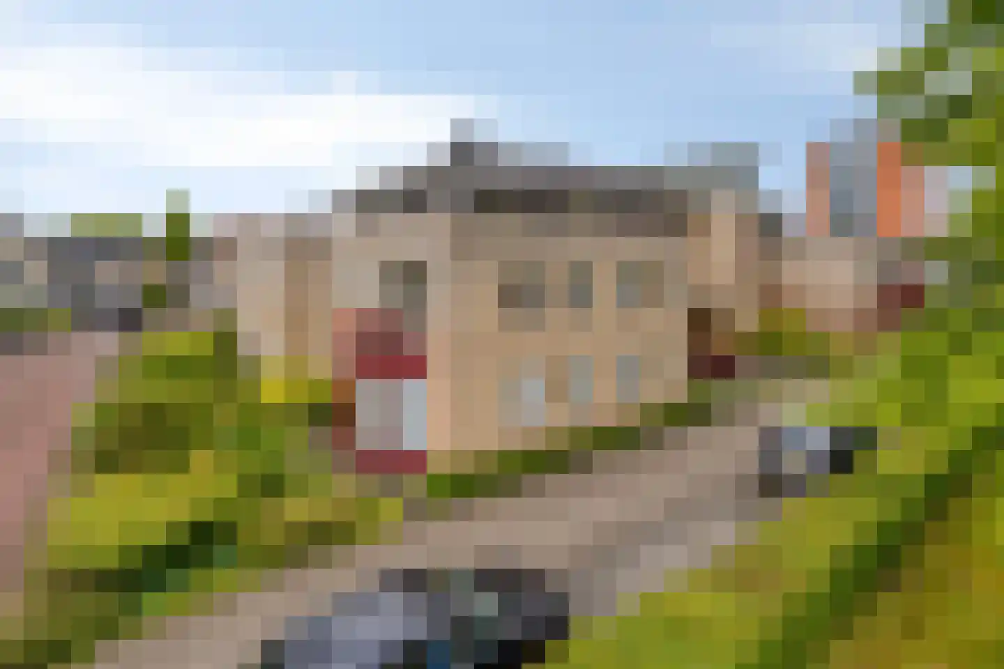 Tulpstraat 23 Wolvega thumbnail 30