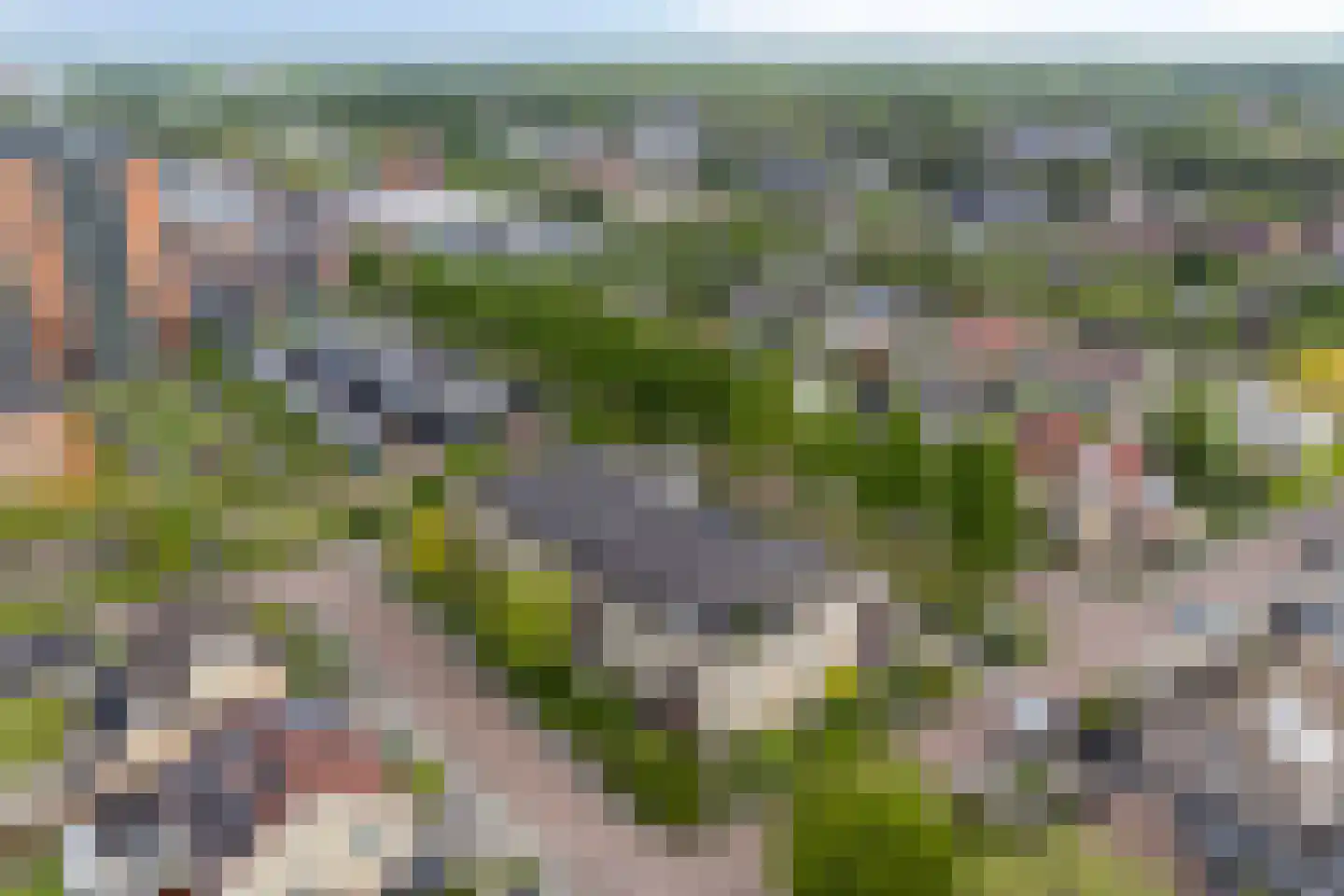 Tulpstraat 23 Wolvega thumbnail 34