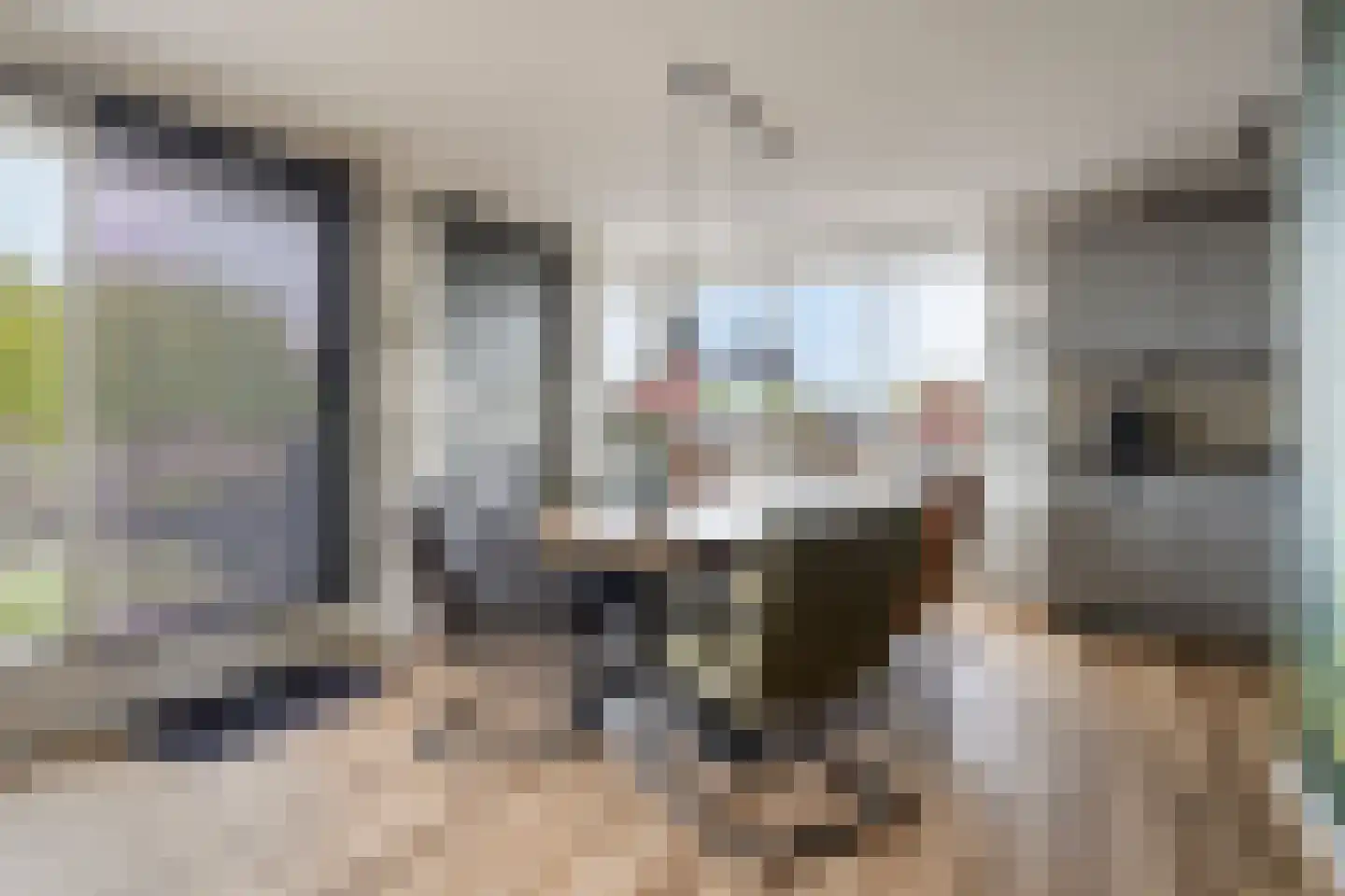 Tulpstraat 23 Wolvega thumbnail 5