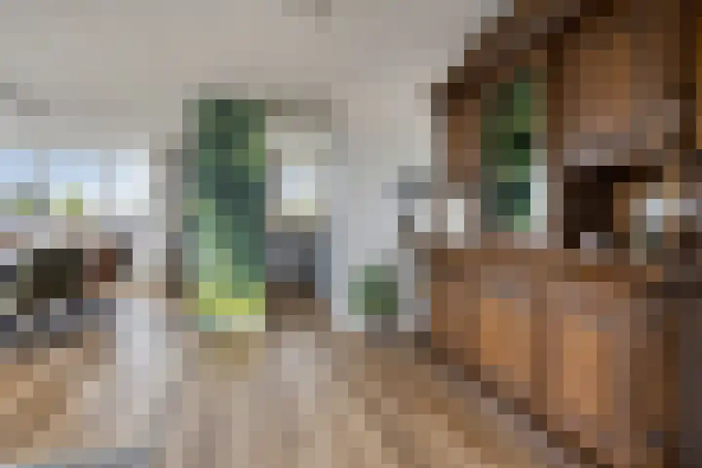 Tulpstraat 23 Wolvega thumbnail 6