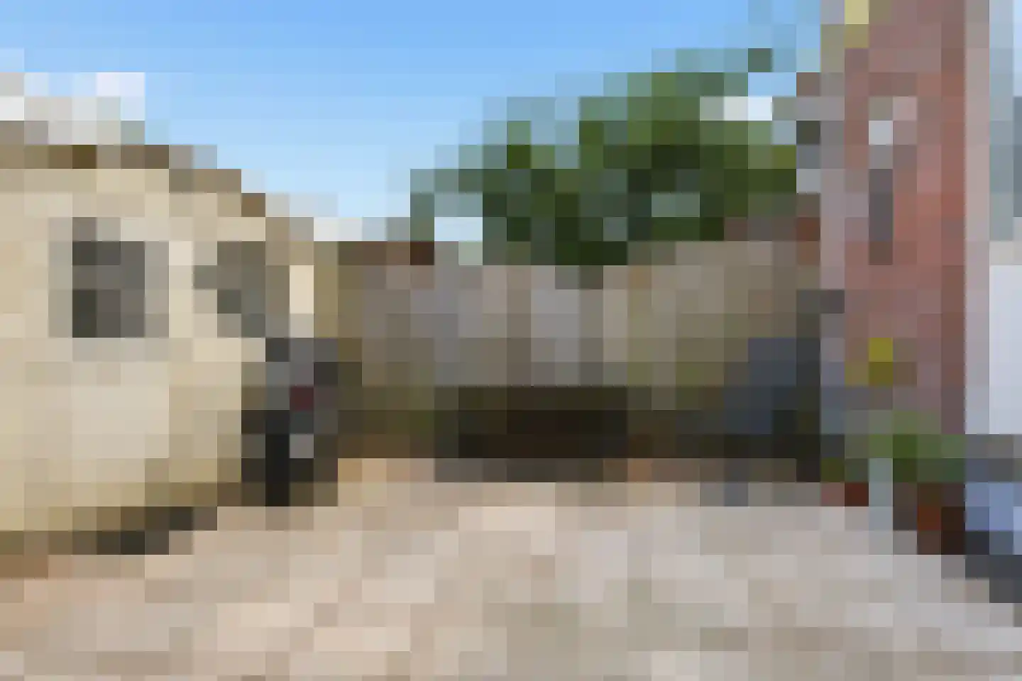 Tulpstraat 24 Koog aan de Zaan thumbnail 10