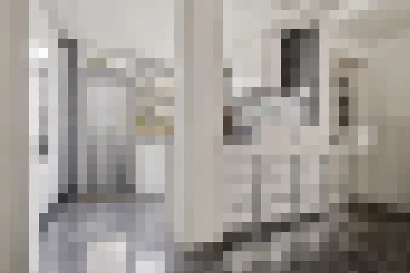 Tulpstraat 24 Koog aan de Zaan thumbnail 4
