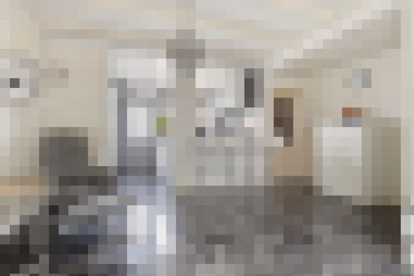 Tulpstraat 24 Koog aan de Zaan thumbnail 5