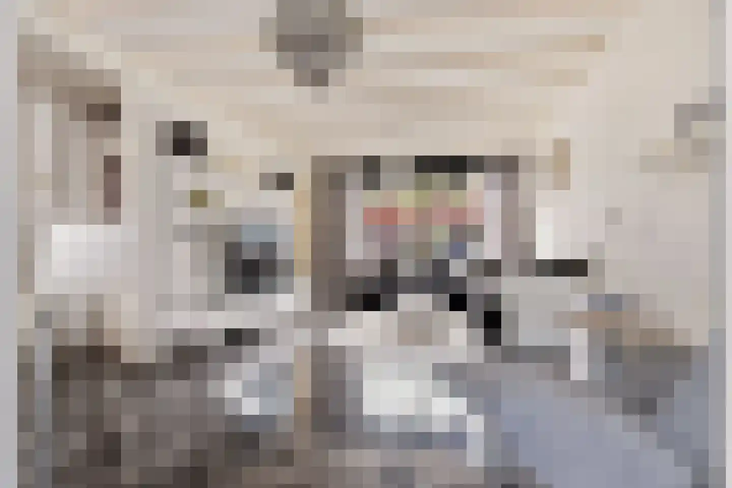 Tulpstraat 24 Koog aan de Zaan thumbnail 7