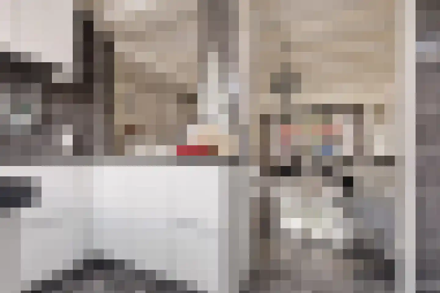 Tulpstraat 24 Koog aan de Zaan thumbnail 8