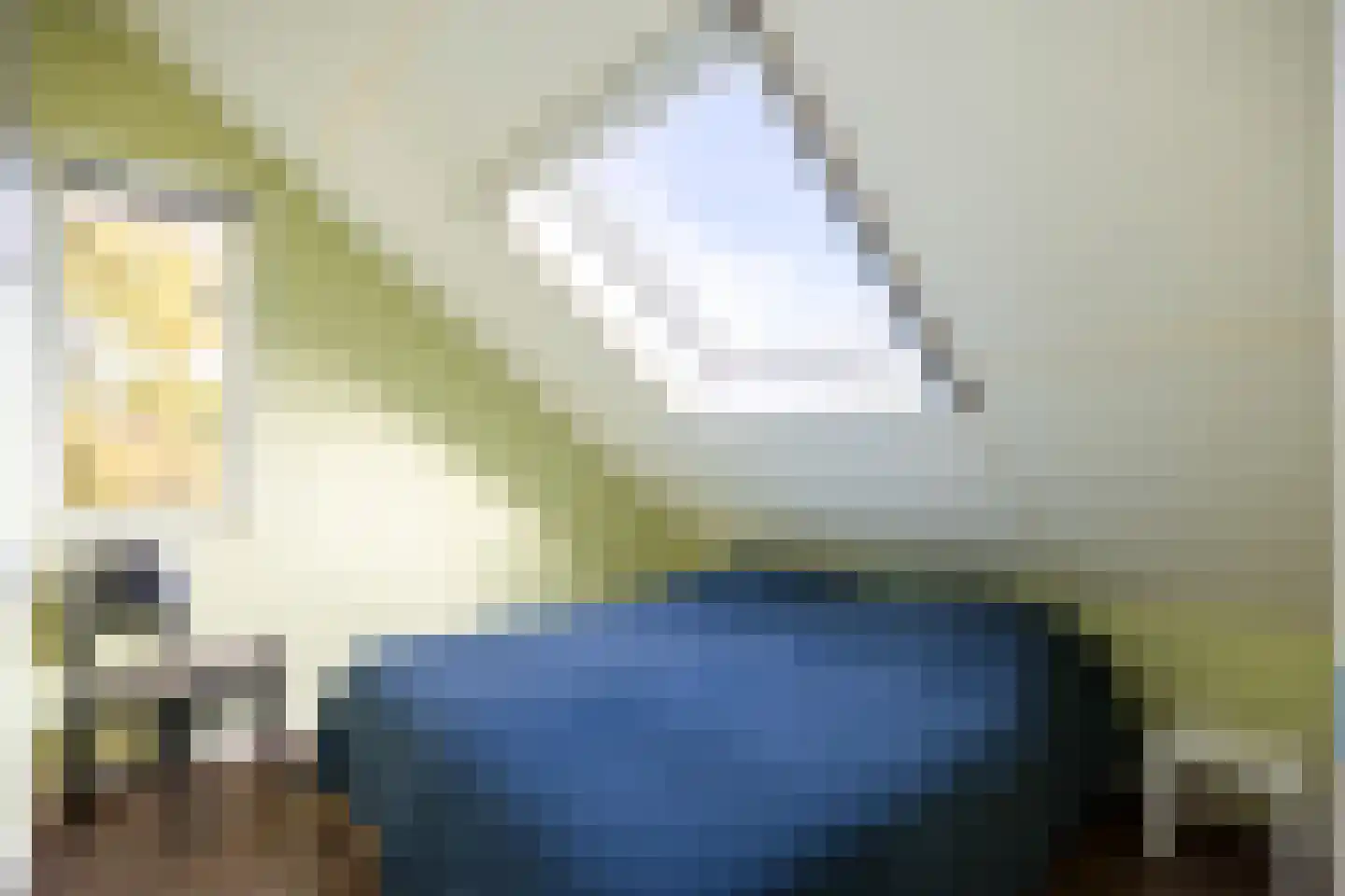 Tulpstraat 24 Winsum thumbnail 30
