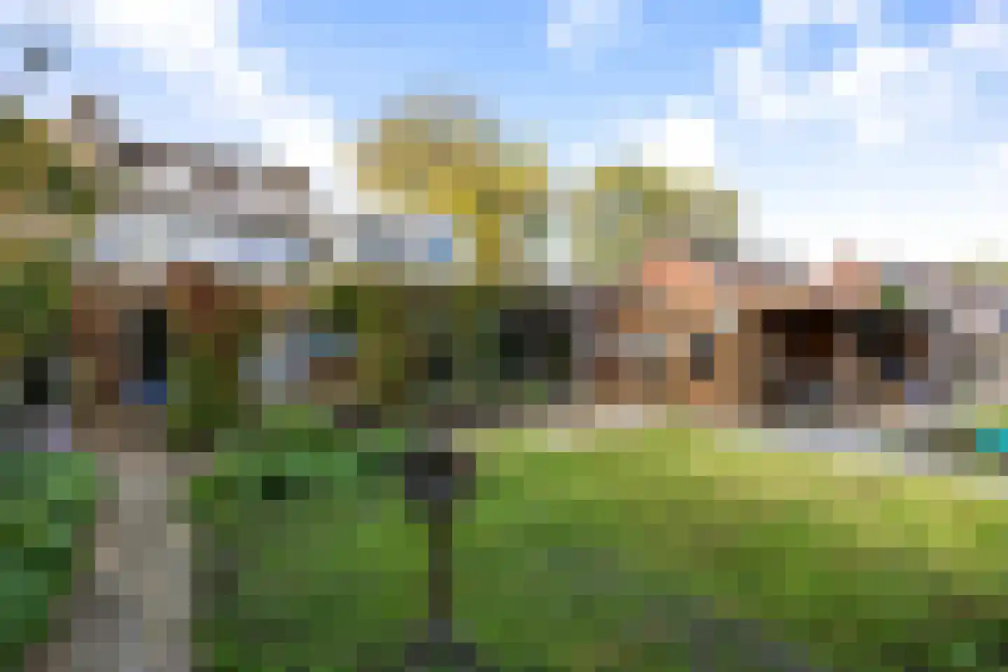 Tulpstraat 24 Winsum thumbnail 38