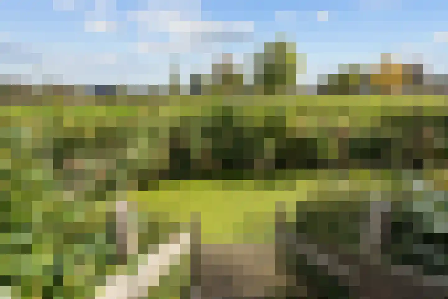 Tulpstraat 24 Winsum thumbnail 41