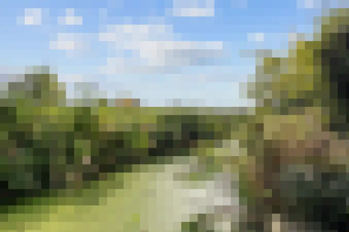 Tulpstraat 24 Winsum thumbnail 42