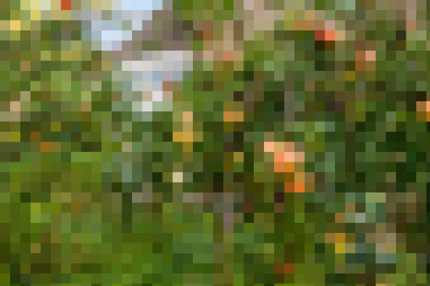 Tulpstraat 24 Winsum thumbnail 43