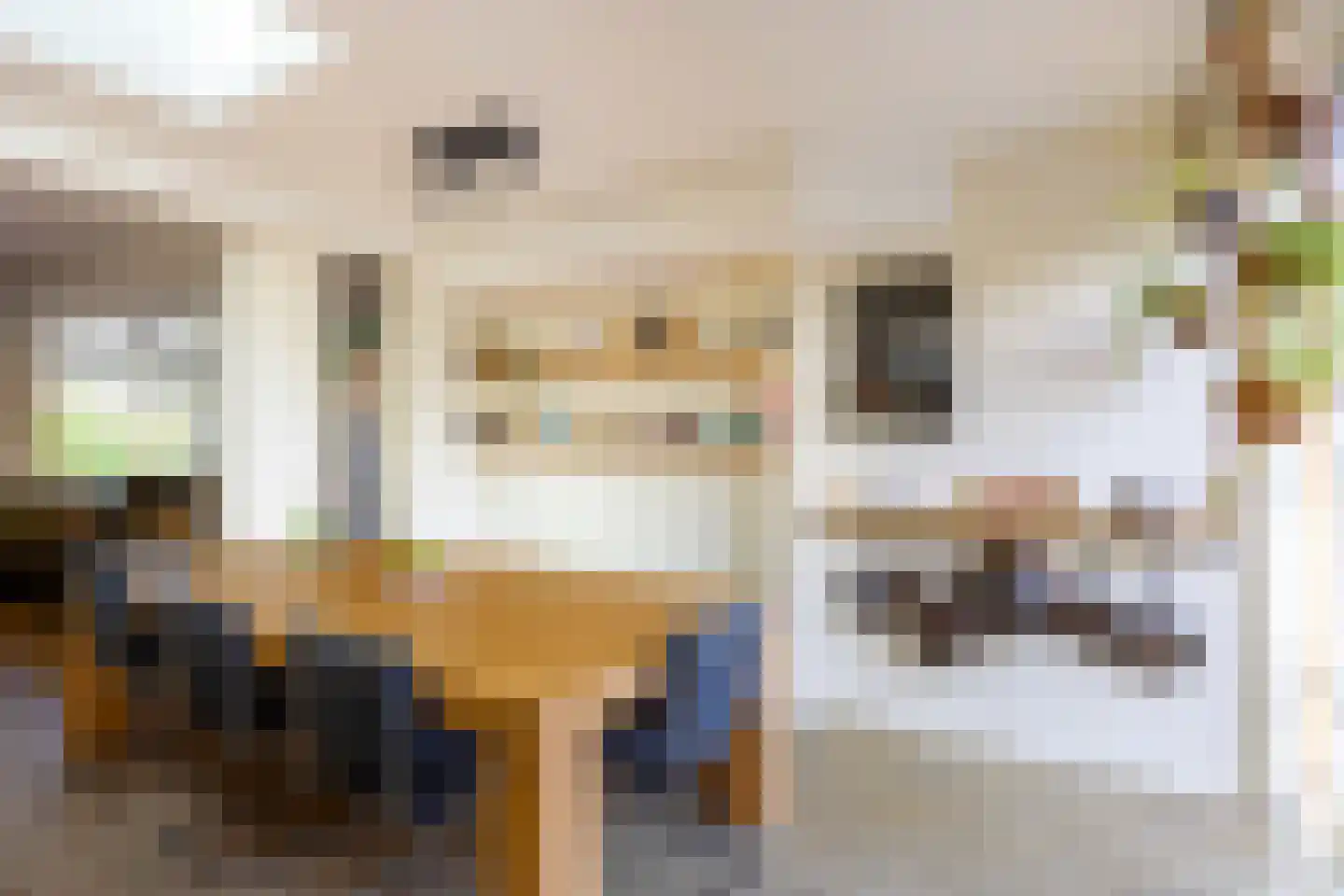 Tulpstraat 24 Winsum thumbnail 7