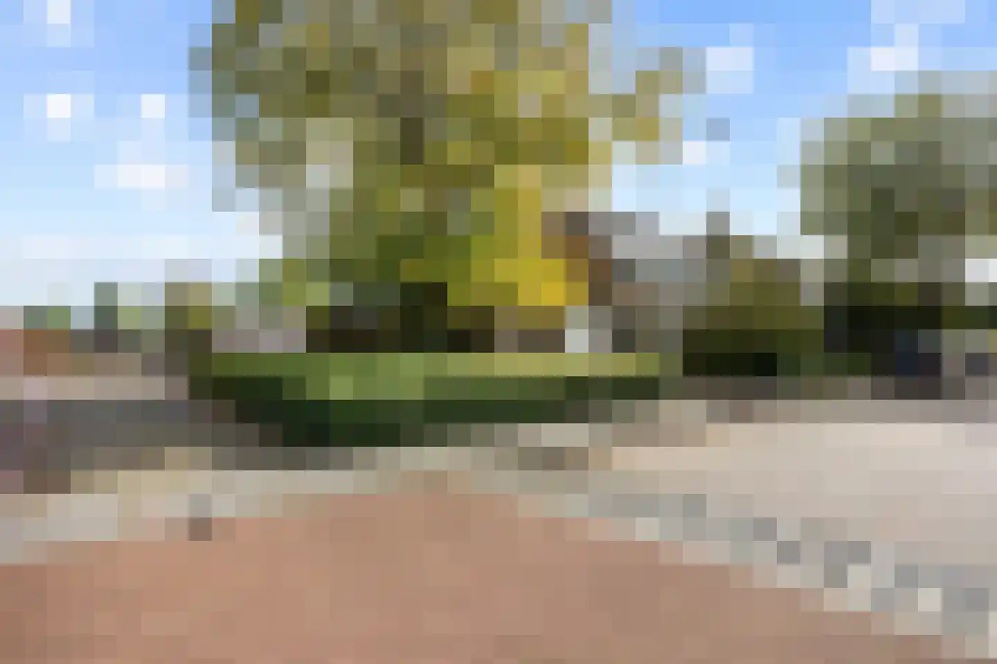 Tulpstraat 24 Winsum thumbnail 8