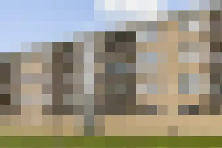Tulpstraat 24 Zwijndrecht thumbnail 23