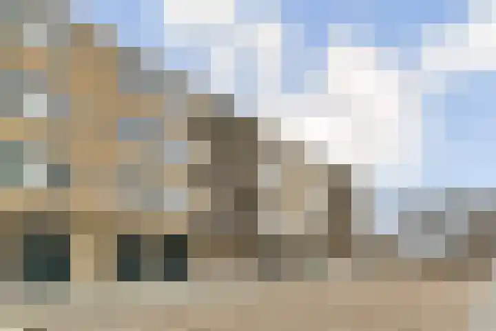 Tulpstraat 24 Zwijndrecht thumbnail 25