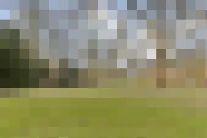 Tulpstraat 24 Zwijndrecht thumbnail 26