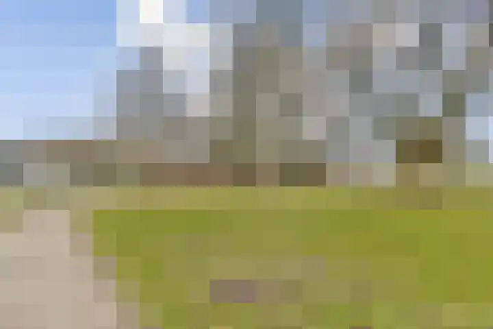 Tulpstraat 24 Zwijndrecht thumbnail 27