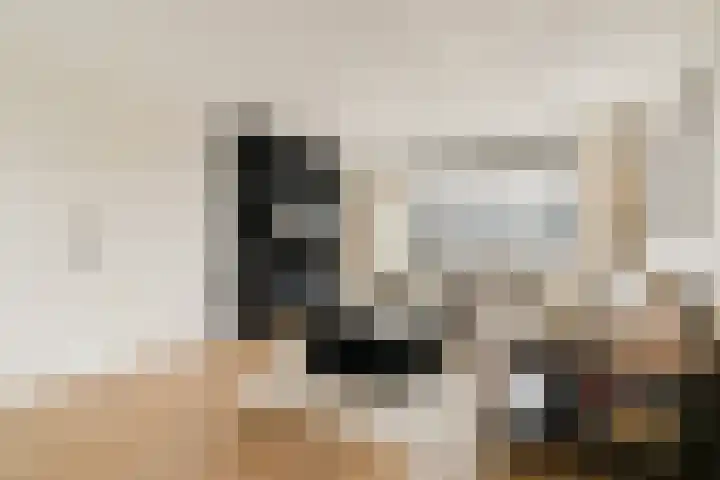 Tulpstraat 24 Zwijndrecht thumbnail 6