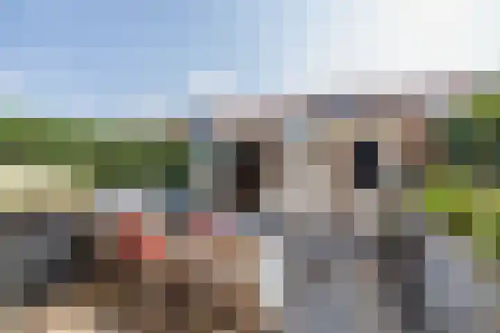 Tulpstraat 25 Noordwijk thumbnail 23