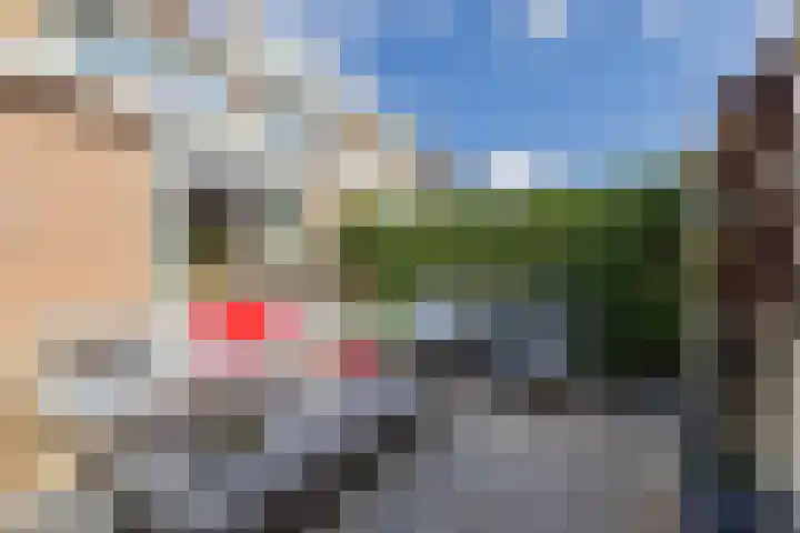 Tulpstraat 25 Noordwijk thumbnail 25