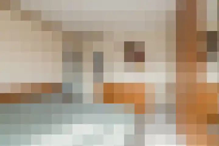 Tulpstraat 25 Noordwijk thumbnail 35