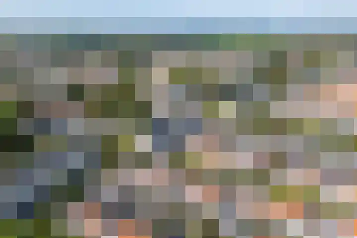 Tulpstraat 25 Noordwijk thumbnail 4