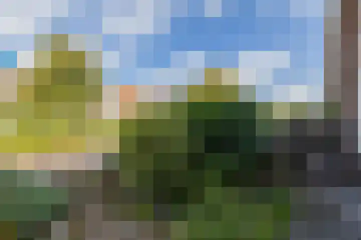Tulpstraat 25 Noordwijk thumbnail 49