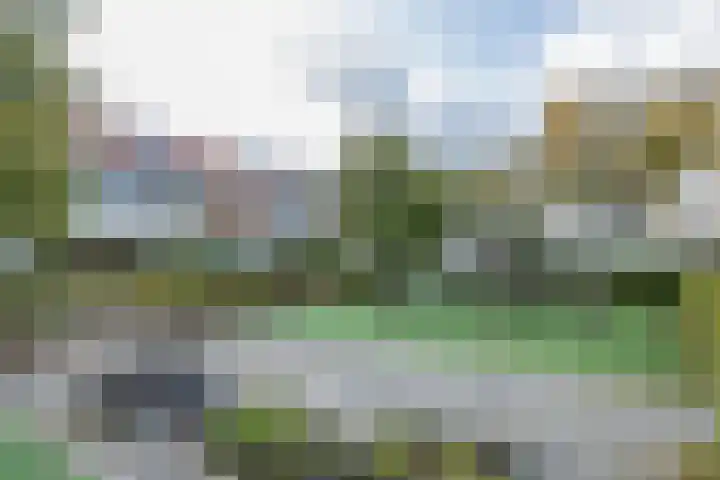 Tulpstraat 25 Noordwijk thumbnail 50