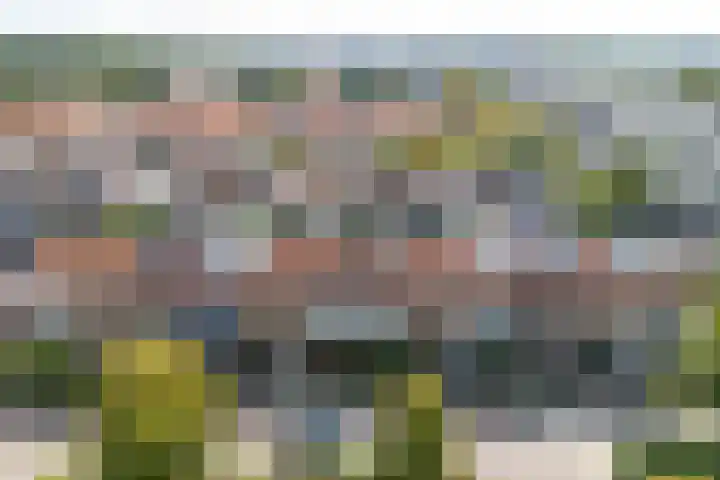 Tulpstraat 25 Noordwijk thumbnail 52