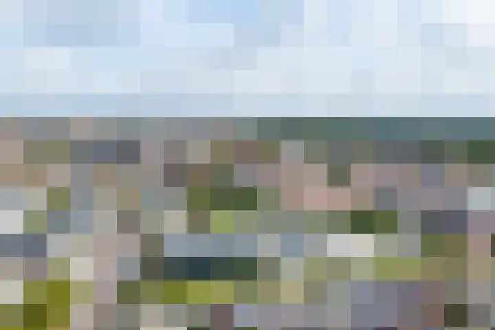 Tulpstraat 25 Noordwijk thumbnail 53