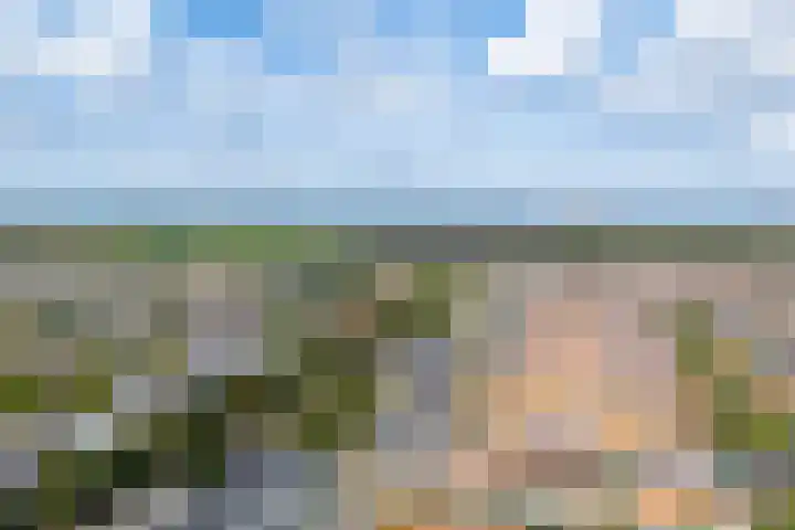 Tulpstraat 25 Noordwijk thumbnail 54