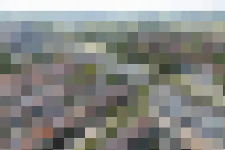 Tulpstraat 25 Noordwijk thumbnail 55