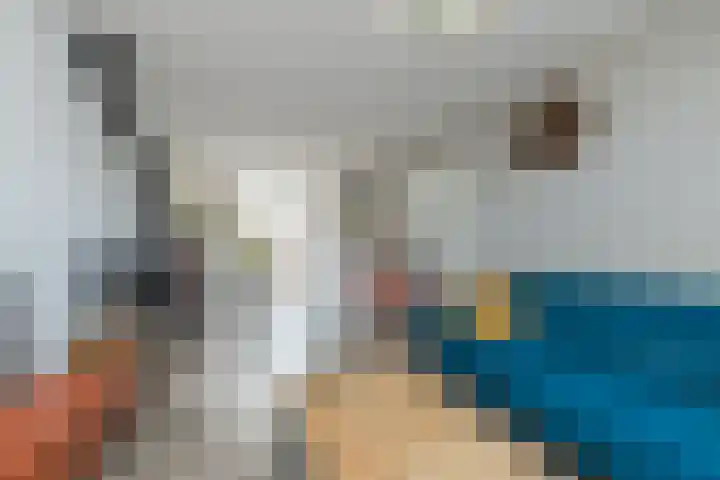 Tulpstraat 25 Noordwijk thumbnail 7