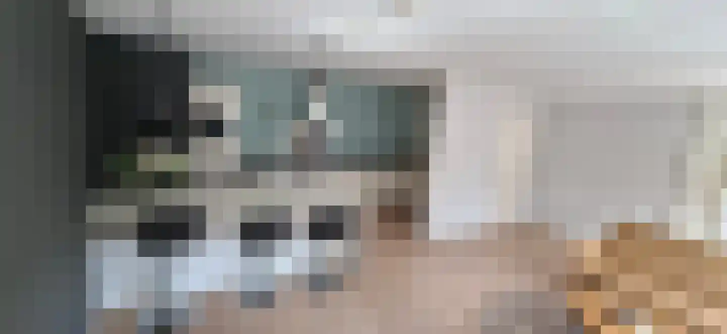 Tulpstraat 25 Sneek thumbnail 11