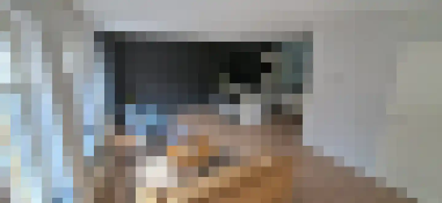 Tulpstraat 25 Sneek thumbnail 12