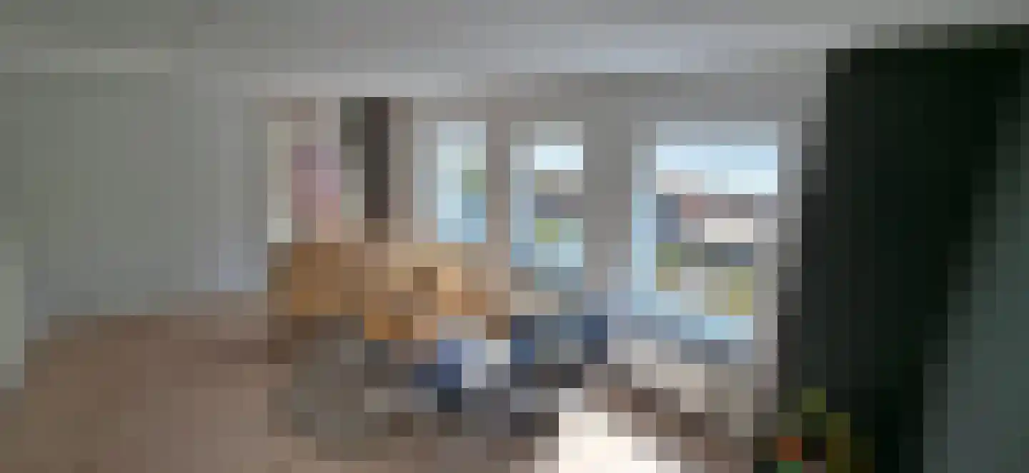 Tulpstraat 25 Sneek thumbnail 14