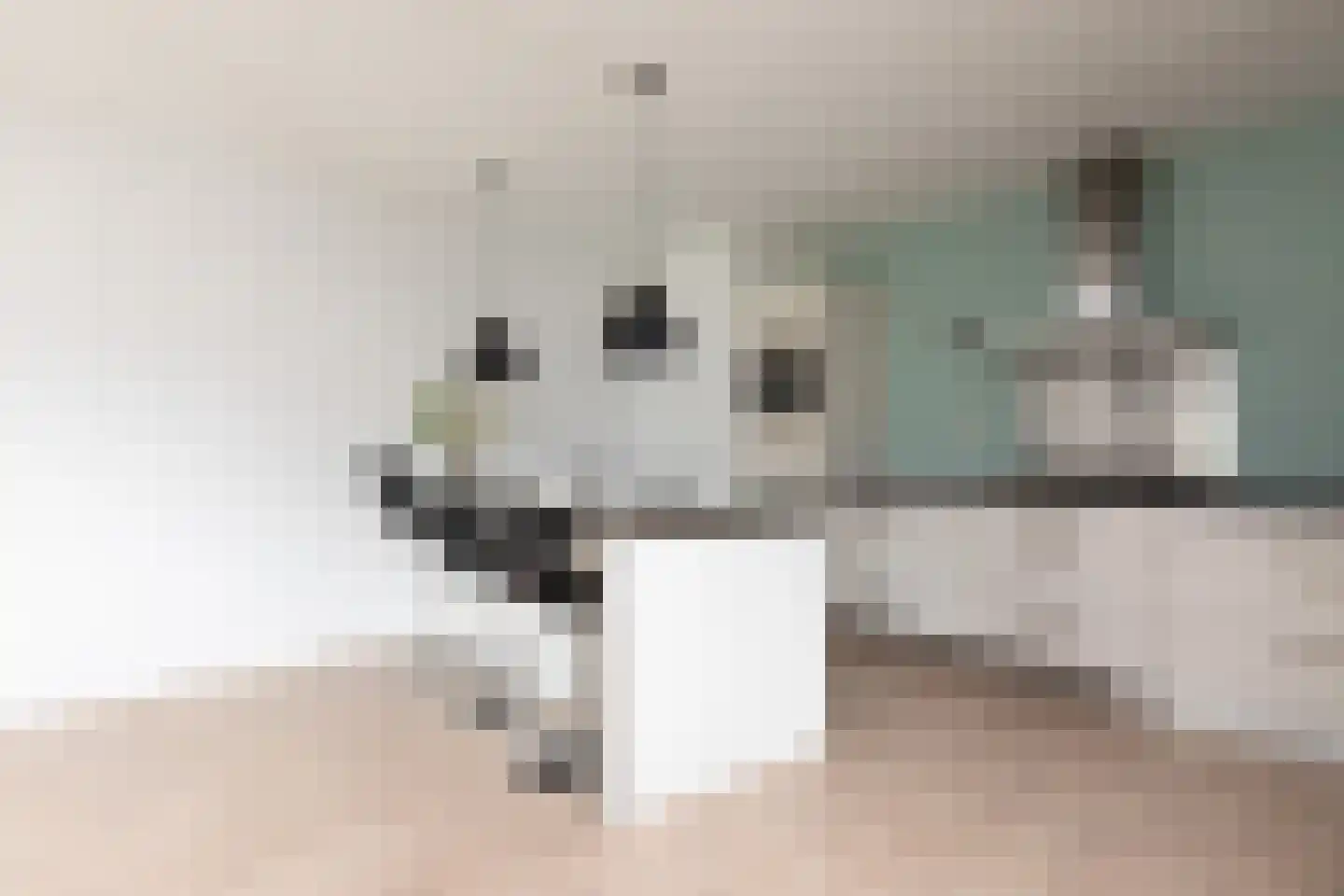 Tulpstraat 25 Sneek thumbnail 9