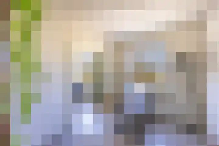 Tulpstraat 26 Rijswijk thumbnail 8