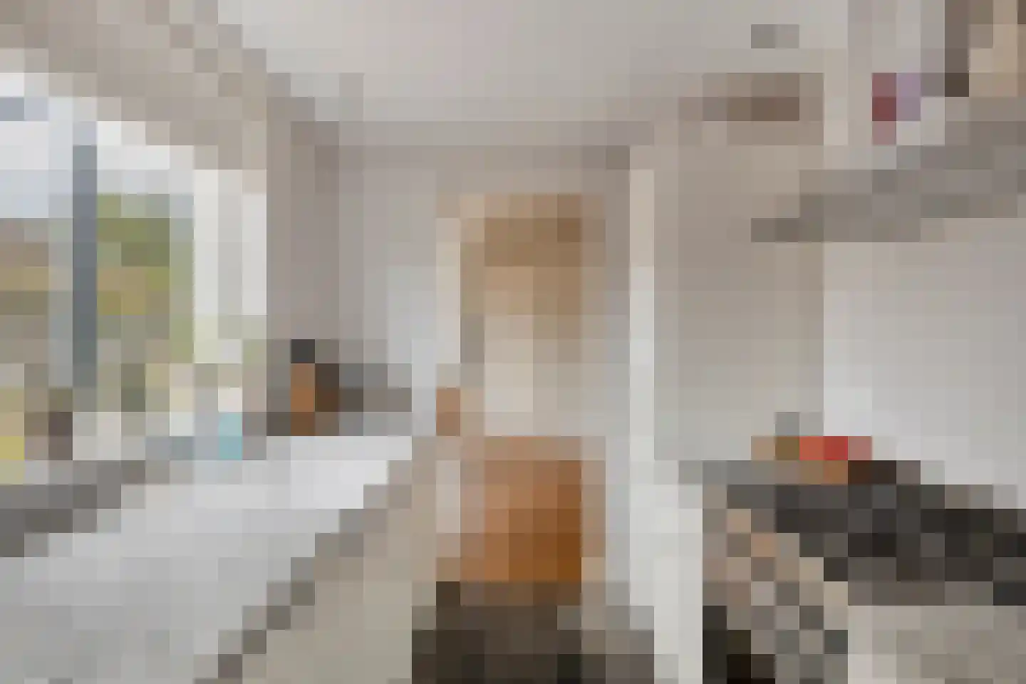 Tulpstraat 26 Tiel thumbnail 10