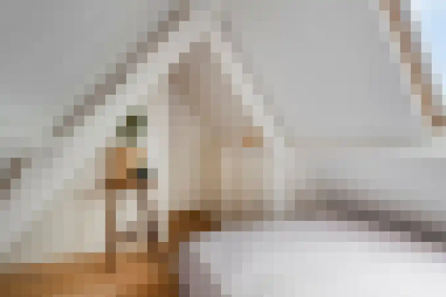 Tulpstraat 26 Tiel thumbnail 20